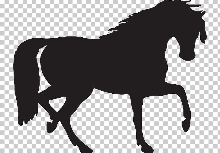 Mustang Silhouette PNG, Clipart, Black, Black And White, Bridle, Collection, Colt Free PNG Download