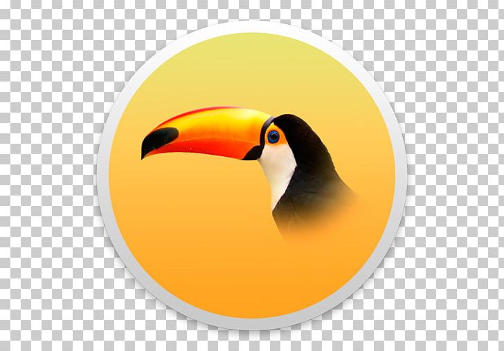 Bird Toucan Piciformes Beak Animal PNG, Clipart, Animal, Animals, Beak, Bird, Orange Free PNG Download
