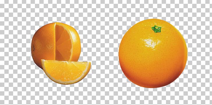 Distilled Beverage Orange Liqueur Citrus Citric Acid PNG, Clipart, Acid, Children, Citric Acid, Citrus, Computer Wallpaper Free PNG Download