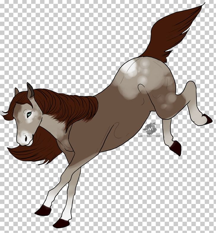 Mule Foal Stallion Mustang Mane PNG, Clipart, Colt, Dog Like Mammal, Donkey, English Riding, Equestrian Free PNG Download