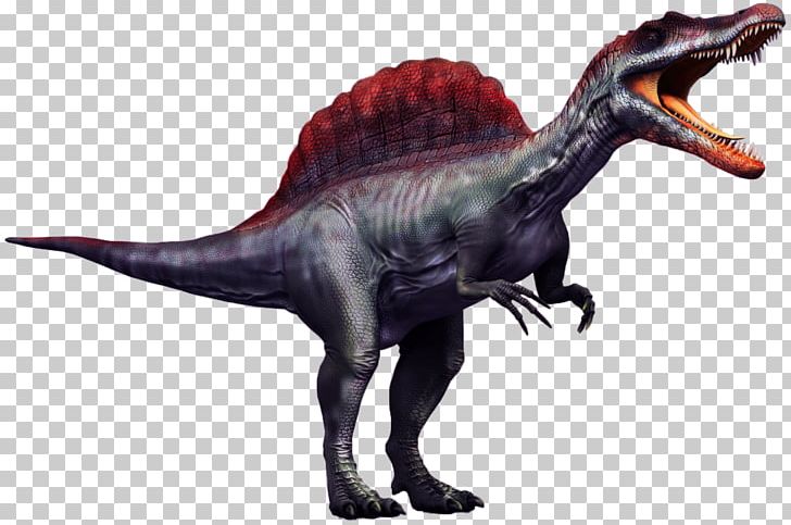 Spinosaurus Tyrannosaurus Giganotosaurus Velociraptor Lego Jurassic World PNG, Clipart, Animal Figure, Baryonyx, Dinosaur, Dinosaur Size, Extinction Free PNG Download