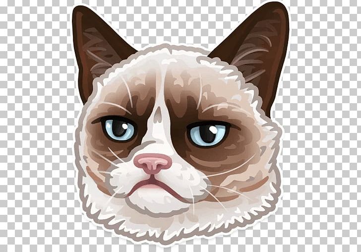 Sticker Telegram Decal Grumpy Cat Doge PNG, Clipart, Android, Bumper Sticker, Carnivoran, Cat Like Mammal, Ear Free PNG Download