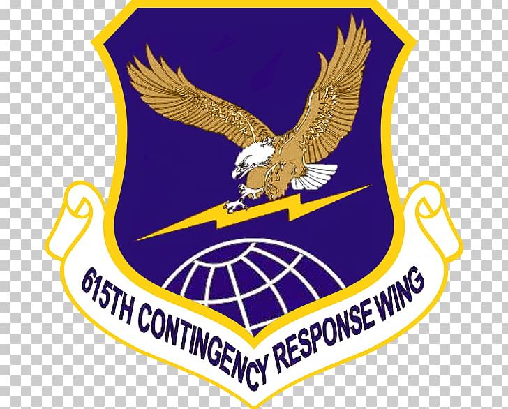 United States Air Force Pacific Air Forces Air Force Global Strike Command United States Strategic Command PNG, Clipart, Air, Bird, Emblem, Logo, Pacific Air Forces Free PNG Download