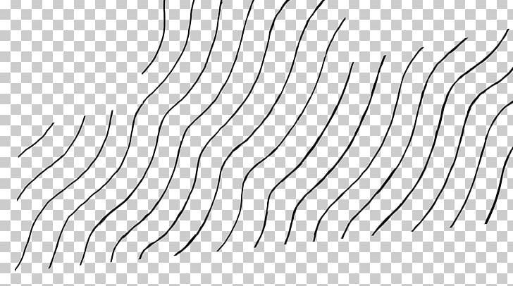 White Point Line Art Angle PNG, Clipart, Angle, Area, Black, Black And White, Branch Free PNG Download