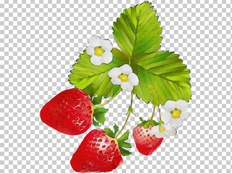 Strawberry PNG, Clipart, Berry, Cake, Fruit, Juice, Paint Free PNG Download