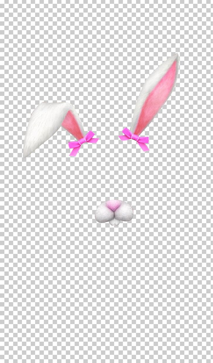 Hare Ear Rabbit Computer Software PNG, Clipart, Adobe Flash, Adobe Flash Player, Computer Software, Ear, Hare Free PNG Download