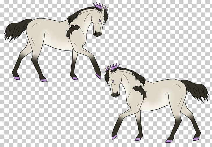 Mane Foal Stallion Mustang Pony PNG, Clipart, Bridle, Colt, Eleocharis Dulcis, English Riding, Equestrian Free PNG Download