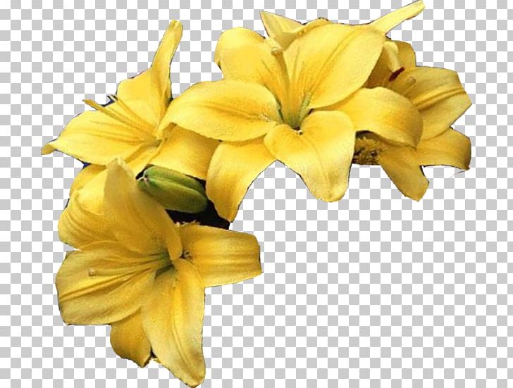 Petal Cut Flowers Painting Daylily PNG, Clipart, Belgians, Cut Flowers, Daylily, Diamond, Do It Yourself Free PNG Download
