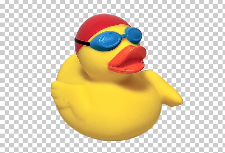 Rubber Duck Material Yellow Toy PNG, Clipart, Animals, Beak, Bird, Duck, Ducks Geese And Swans Free PNG Download
