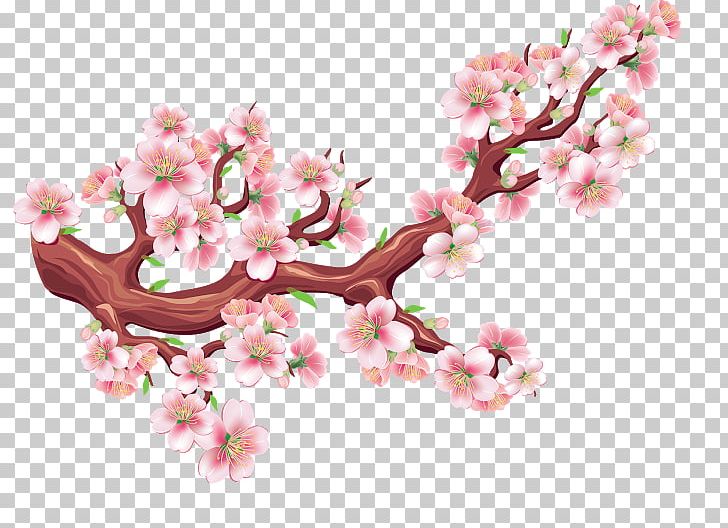 Cherry Blossom Graphics Drawing PNG, Clipart, Art, Blossom, Branch, Cherry, Cherry Blossom Free PNG Download