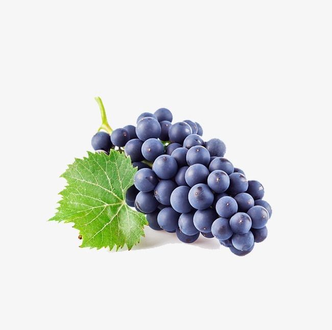 Grape PNG, Clipart, Bunch, Grape, Grape Clipart, Grapes, Purple Free PNG Download