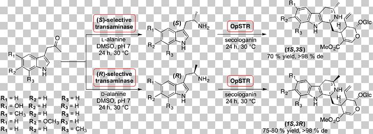 Strictosidine Catalysis Chemical Synthesis Pictet–Spengler Reaction Reserpine PNG, Clipart, Acid Catalysis, Angle, Biosynthesis, Catalysis, Chemical Synthesis Free PNG Download