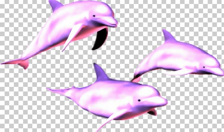 Vaporwave Dolphin Portable Network Graphics PNG, Clipart, Animals, Common Bottlenose Dolphin, Desktop Wallpaper, Dolphin, Editing Free PNG Download
