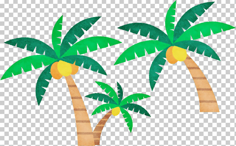 Palm Trees PNG, Clipart, Cartoon, Conifers, Drawing, Leaf, Palm Trees Free PNG Download