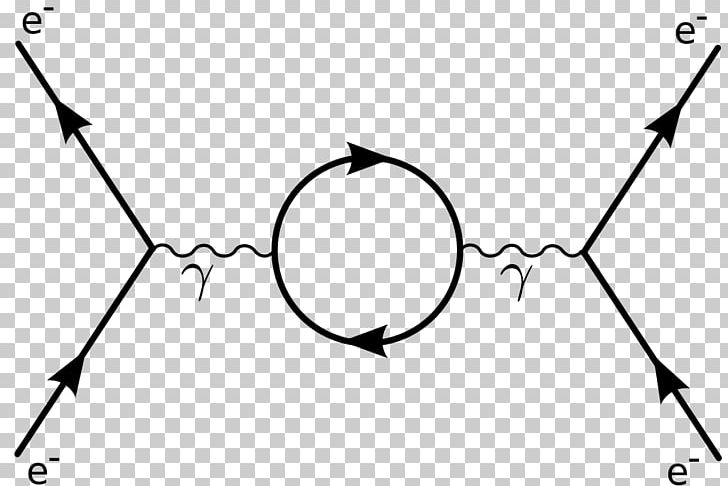 Feynman Diagram Diagrammatica Quantum Mechanics Quantum Electrodynamics Quantum Field Theory PNG, Clipart, Angle, Bird, Black, Branch, Cartoon Free PNG Download