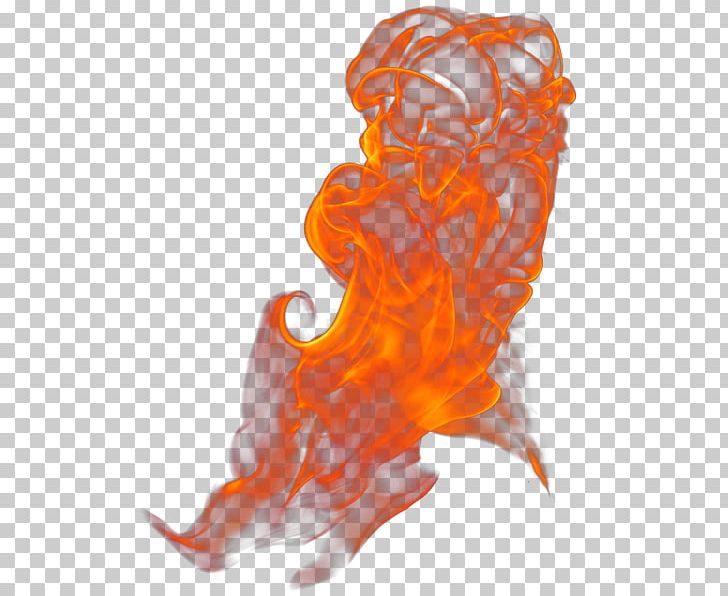 Fire Flame Rendering PNG, Clipart, Combustion, Computer Icons, Download, Fire, Flame Free PNG Download