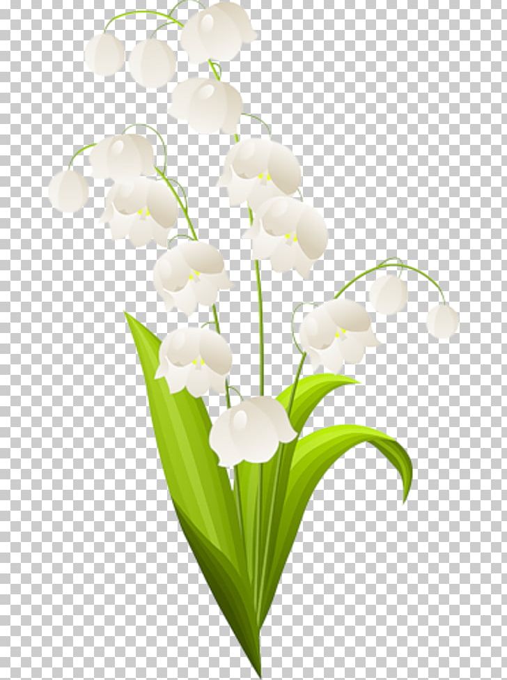 Lily Of The Valley Lilium Drawing PNG, Clipart, Botanical Illustration, Cut Flowers, Depositphotos, Drawing, Floral Design Free PNG Download