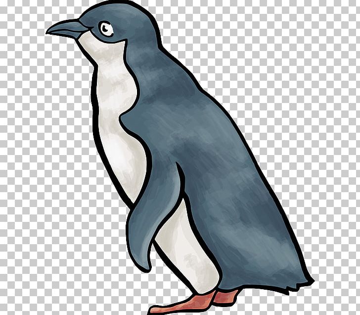 Little Penguin Open Graphics PNG, Clipart, Animal Figure, Animals, Artwork, Beak, Bird Free PNG Download