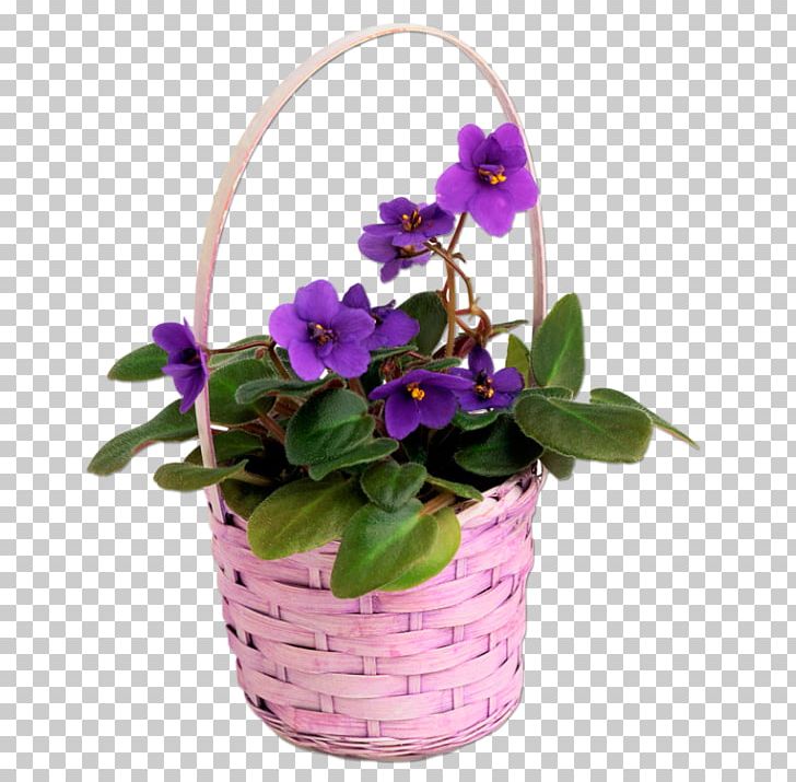 Pansy Violet Garden Chinese Wisteria Seed PNG, Clipart, African Violets, Basket, Bulb, Flower, Flowering Plant Free PNG Download