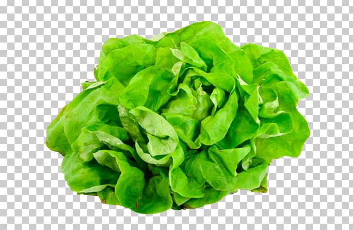 Vegetable Lettuce Mineral Food Vegetarian Cuisine PNG, Clipart, Cabbage, Chard, Diet, Food, Food Drinks Free PNG Download