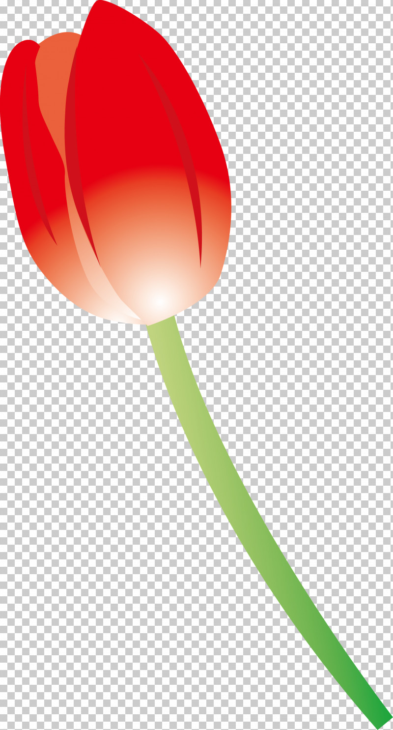 Red Tulip Plant PNG, Clipart, Plant, Red, Tulip Free PNG Download