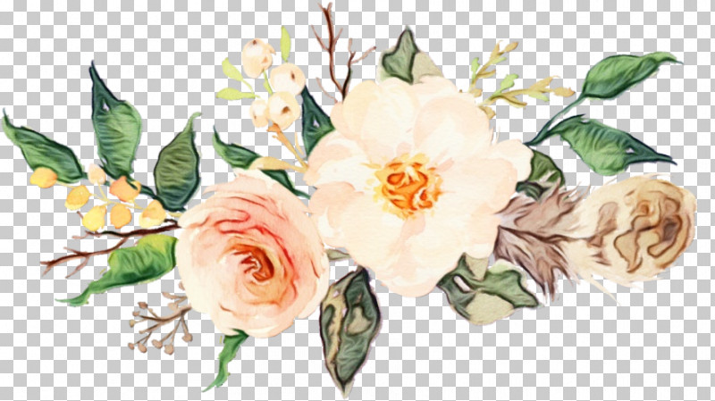 Garden Roses PNG, Clipart, Flower, Garden Roses, Paint, Petal, Plant Free PNG Download