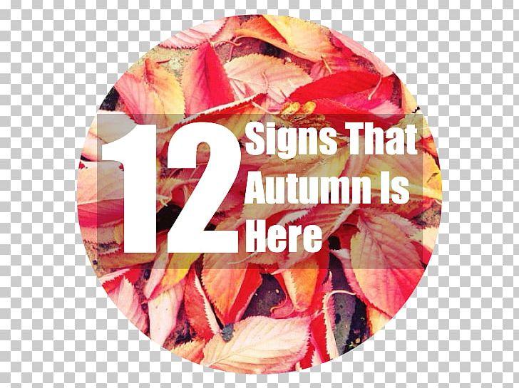 Autumn Is Here! Signage Child Blog PNG, Clipart, Autumn, Autumn Girl, Autumn Is Here, Autumn Leaves, Blog Free PNG Download