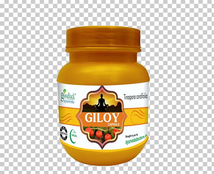 Dietary Supplement Garcinia Gummi-gutta Capsule Health Garcinia Cambogia PNG, Clipart, Ayurveda, Capsule, Diabetes Mellitus, Dietary Supplement, Digestion Free PNG Download