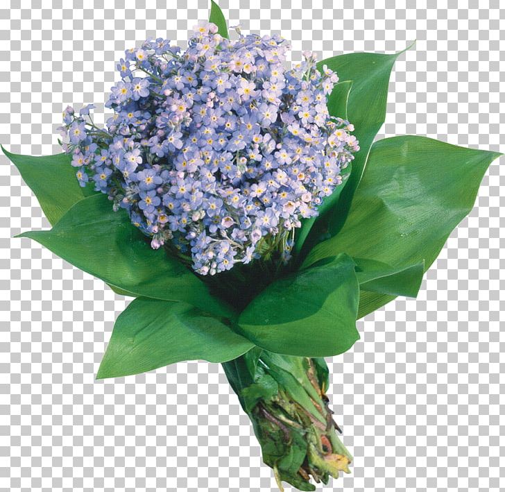 Flower Bouquet Scorpion Grasses Garden Roses Blue PNG, Clipart, Anniversary, Blue, Color, Cornales, Cut Flowers Free PNG Download