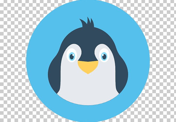Penguin PNG, Clipart, Animal, Animals, Auk, Beak, Bird Free PNG Download