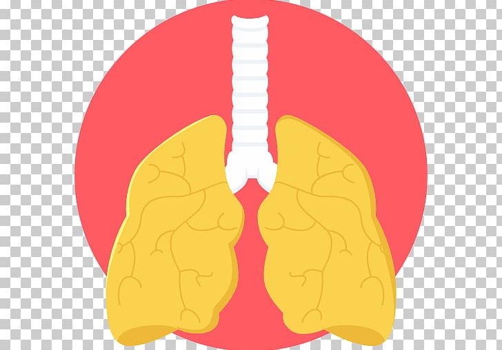 Computer Icons Lung PNG, Clipart, Anatomy, Ayurveda, Brain, Clip Art, Computer Icons Free PNG Download