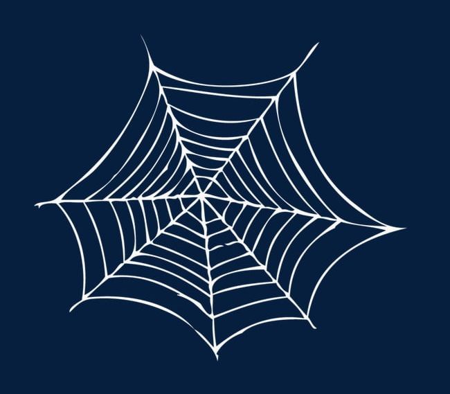 Pretty White Spider Web PNG, Clipart, Beautiful, Beautiful Spider Web, Cobweb, Pretty Clipart, Spider Free PNG Download