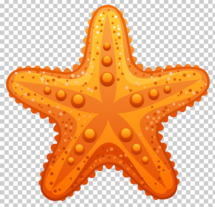 Starfish PNG, Clipart, Starfish Free PNG Download