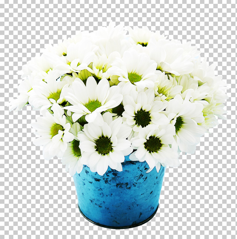 Daisy PNG, Clipart, African Daisy, Anemone, Barberton Daisy, Blue, Bouquet Free PNG Download
