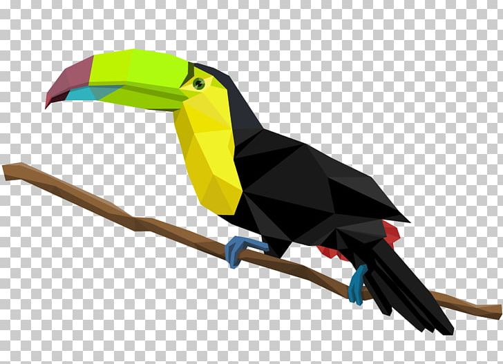 Bird Toco Toucan Piciformes PNG, Clipart, Animal, Animals, Art, Beak, Bird Free PNG Download