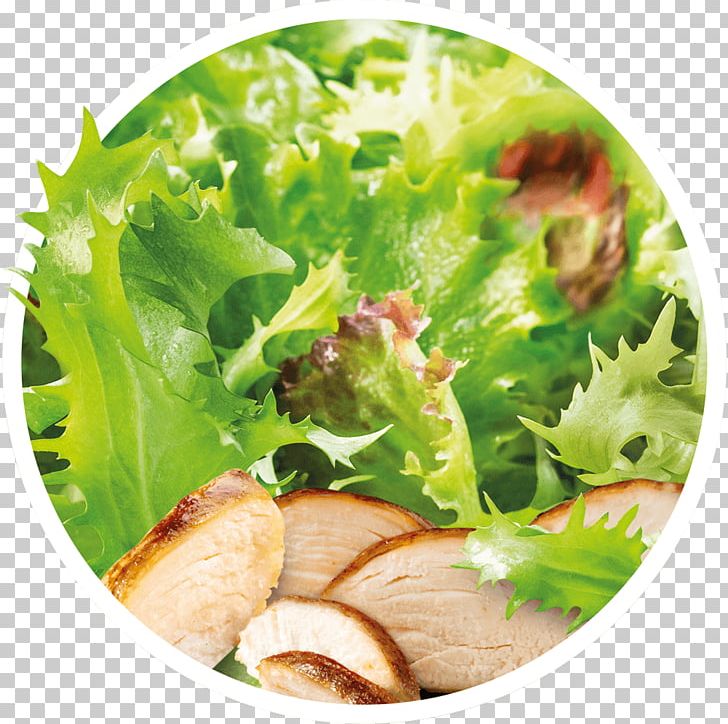 Caesar Salad Lettuce Vinaigrette Crudités Vegetarian Cuisine PNG, Clipart, Caesar Salad, Cheese, Crudites, Dish, Emmental Cheese Free PNG Download