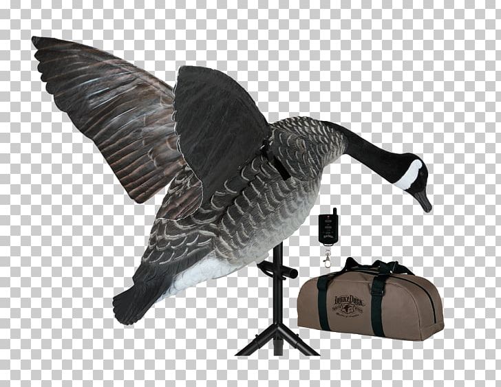 Duck Decoy Goose Mallard Waterfowl Hunting PNG, Clipart, Animals, Beak, Bird, Canada Goose, Decoy Free PNG Download