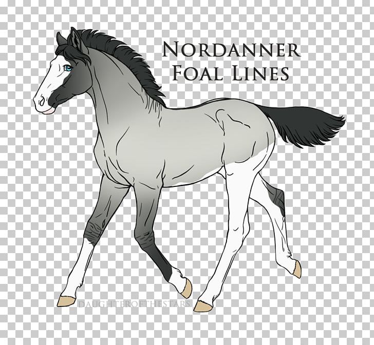Foal Pony Stallion Colt Mare PNG, Clipart, Art, Bridle, Colt, Deviantart, Drawing Free PNG Download