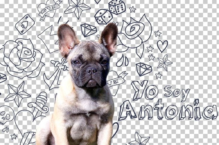 French Bulldog Toy Bulldog Puppy Dog Breed PNG, Clipart, Animals, Breed, Bulldog, Carnivoran, Dog Free PNG Download