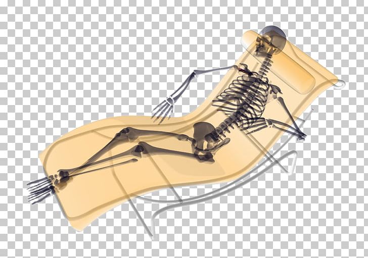 Human Skeleton U9ab7u9ac5 Photography PNG, Clipart, Angle, Bed, Bedding, Beds, Bone Free PNG Download