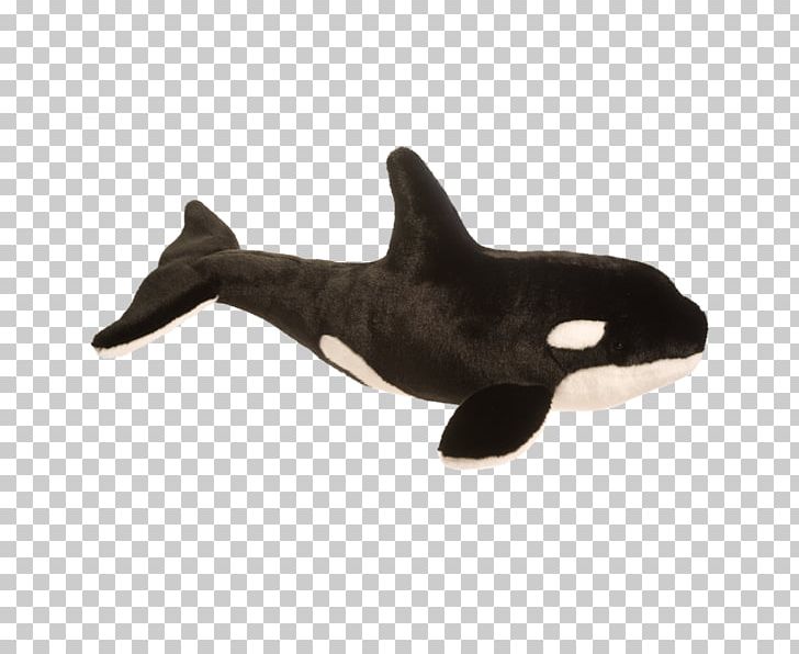 The Killer Whale Stuffed Animals & Cuddly Toys Cetacea Plush PNG, Clipart, Amazoncom, Birthday, Cetacea, Child, Doll Free PNG Download