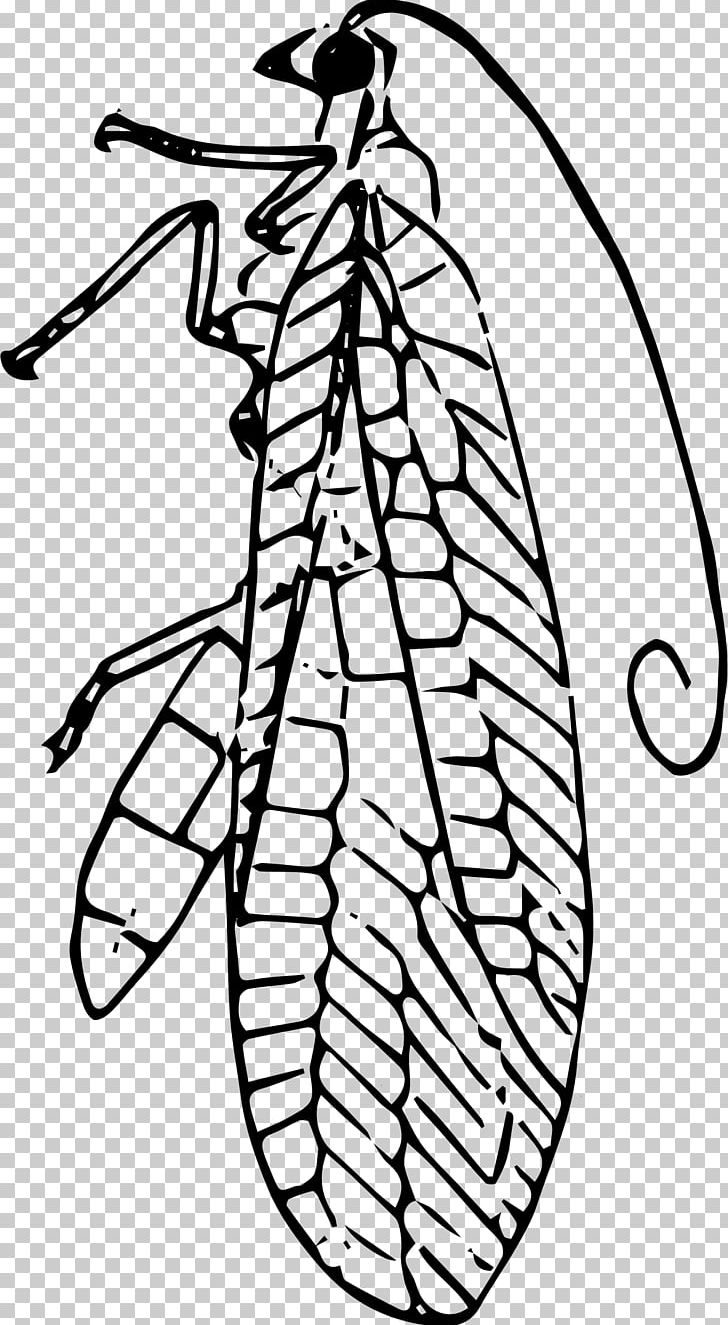 Insect Line Art PNG, Clipart, Animals, Area, Art, Artwork, Black And White Free PNG Download