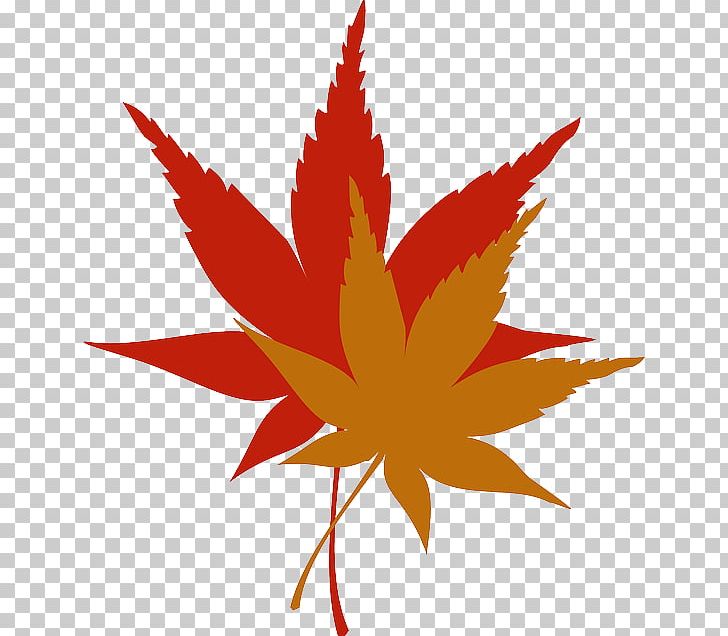 Autumn Leaf Color PNG, Clipart, Autumn, Autumn Leaf Color, Color, Flower, Flowering Plant Free PNG Download