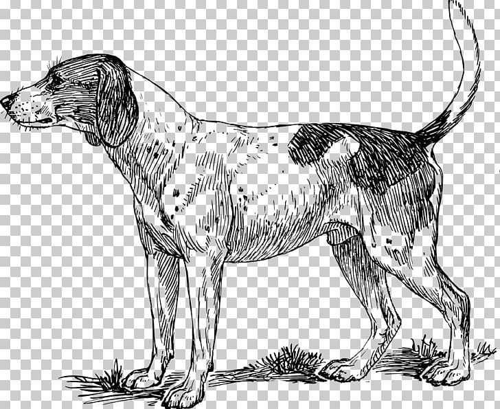 Basset Hound Pointer Bloodhound Beagle Puppy PNG, Clipart, American Foxhound, Animals, Basset Hound, Beagle, Black And White Free PNG Download