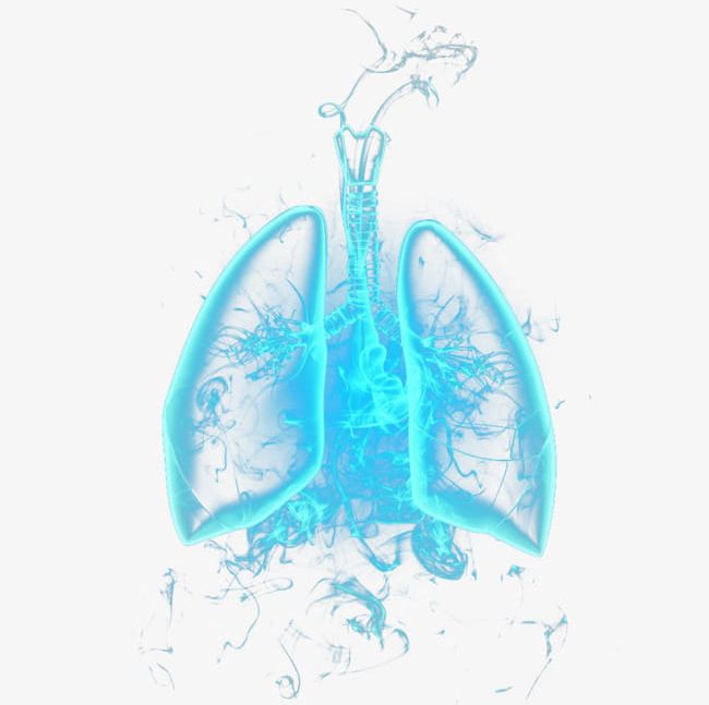 Blue Lungs PNG, Clipart, Blue, Blue Clipart, Blue Lungs, Lung, Lungs Free PNG Download