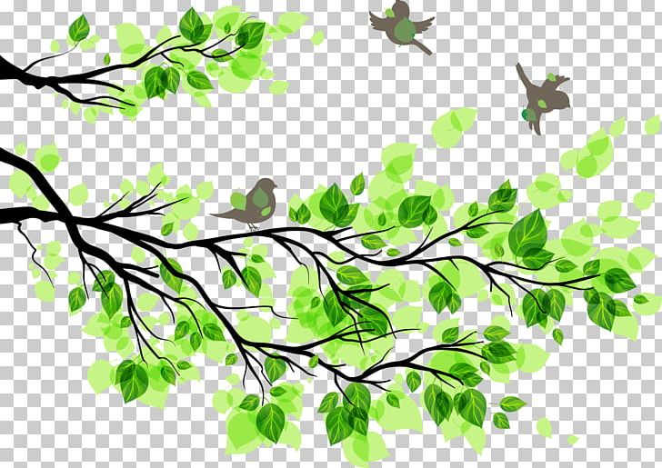 Branch Leaf Wall Decal Tree PNG, Clipart, Birds, Branch, Decorative Patterns, Design, Drawing Free PNG Download