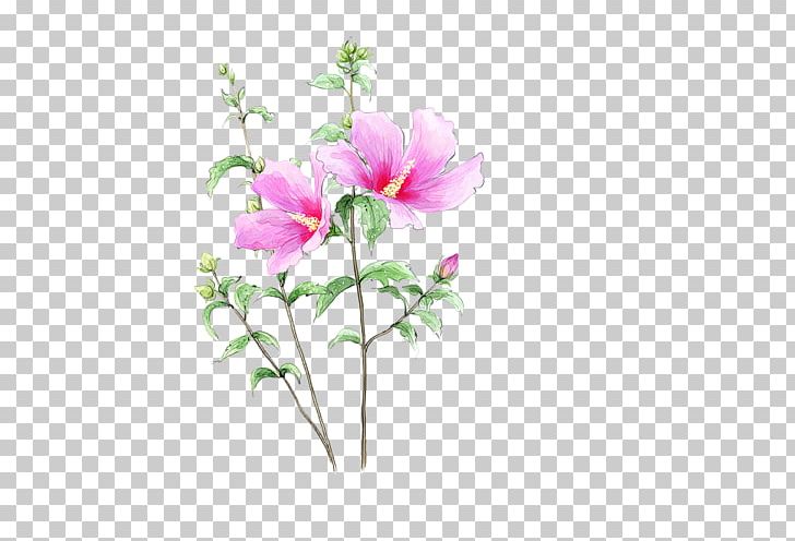 Cut Flowers Drawing PNG, Clipart, Art, Artificial Flower, Blossom, Branch, Bud Free PNG Download