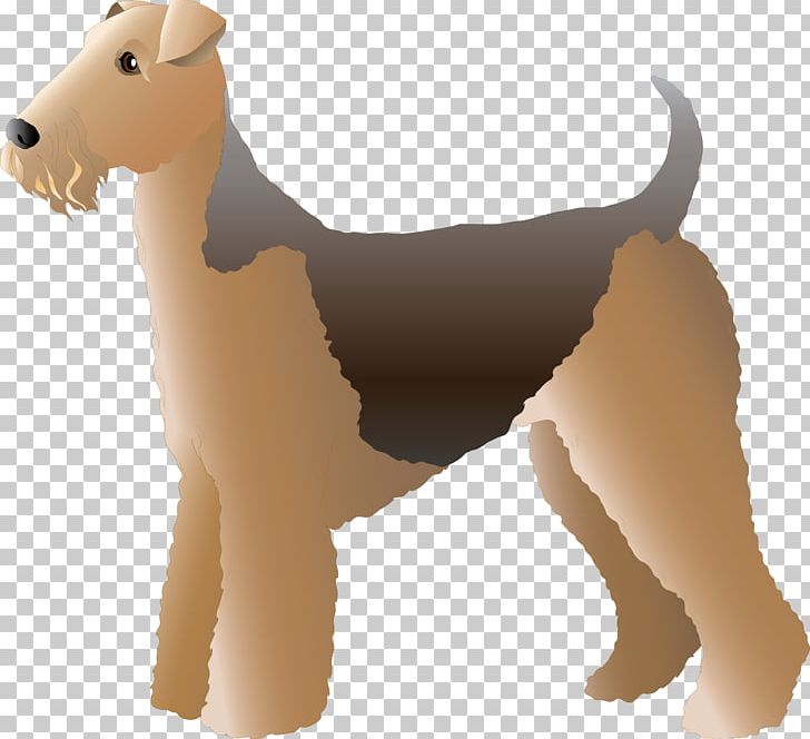 Dog PNG, Clipart, Animal, Animals, Breed, Canidae, Carnivora Free PNG Download