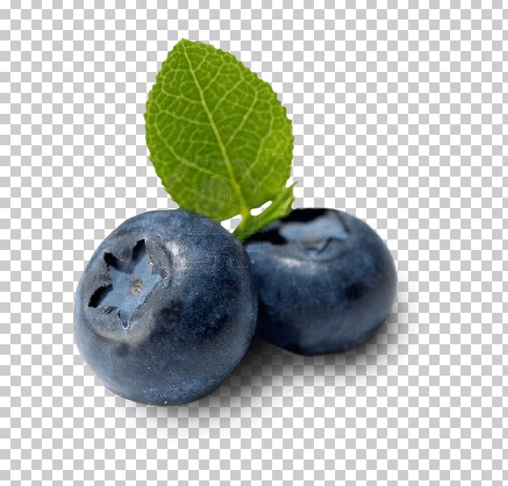 Bilberry Blueberry Fruit Food PNG, Clipart, Antioxidant, Berry, Bilberry, Blackberry, Blueberry Free PNG Download