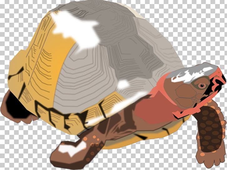 Box Turtle Reptile Tortoise PNG, Clipart, Animal, Animals, Animation, Box Turtle, Computer Icons Free PNG Download
